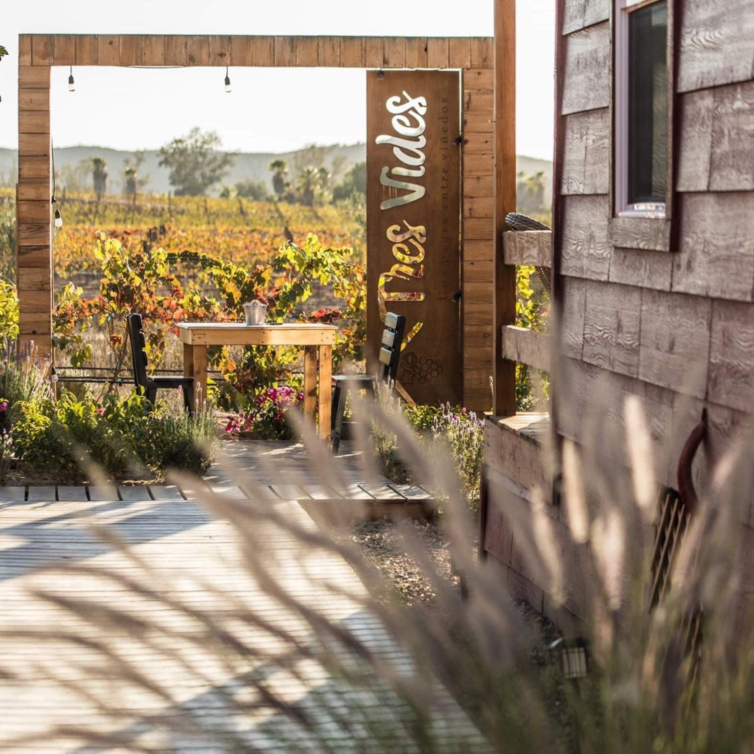 Tres Vides Hotel Boutique Valle de Guadalupe Exterior foto